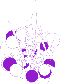 grafismo
